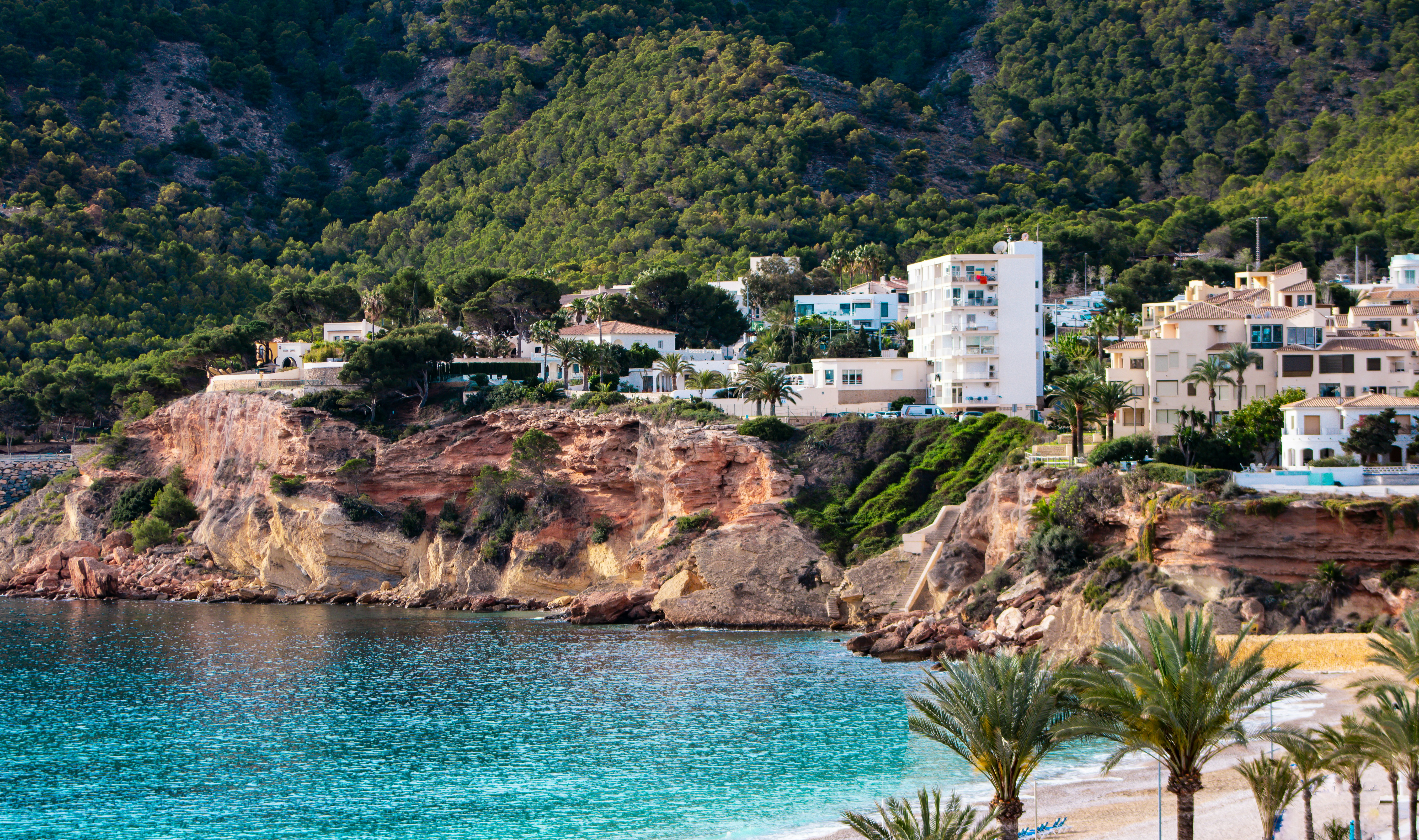 Albir Icon